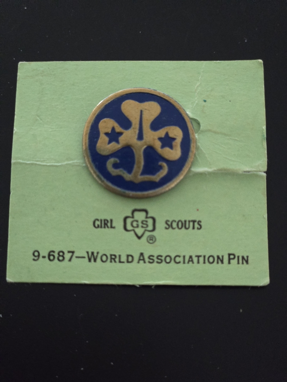 Vintage Girl Scout Blue & Gold World Association Pin